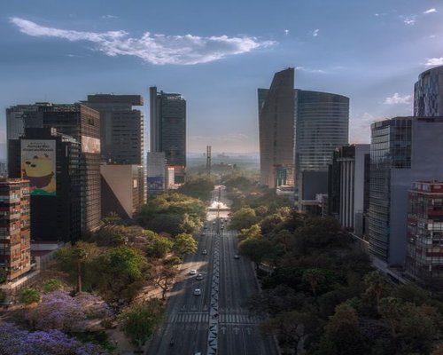 Modern office building facade on Avenida Insurgentes with trees and bright sky