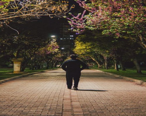 Person taking a relaxed evening walk in an urban park with trees